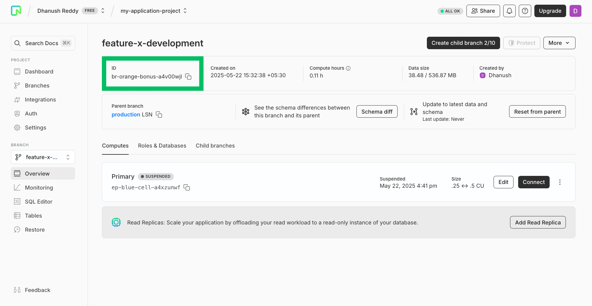 Neon Console Branch ID